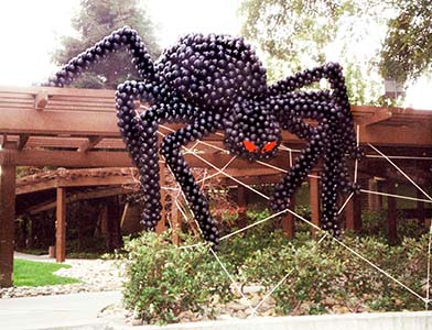 This 20 foot tall long giant balloon sculpture spider spider wraps this Silicon Valley office building in its web.